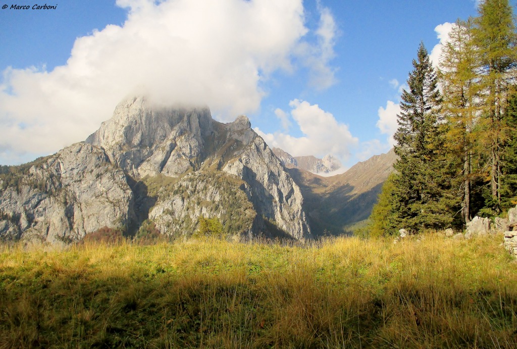 130993-bordaglia-1-img0109.jpg