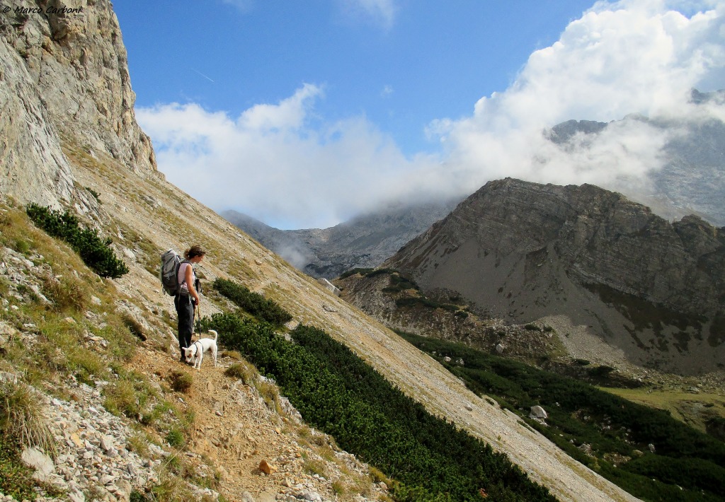 131001-bordaglia-2-img0130.jpg