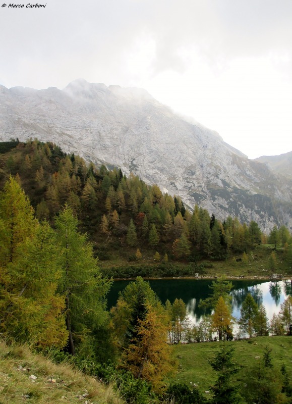 131006-bordaglia-2-img0140.jpg