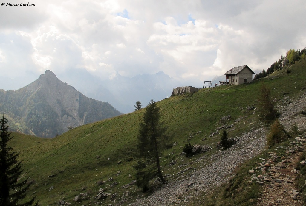 131007-bordaglia-2-img0142.jpg