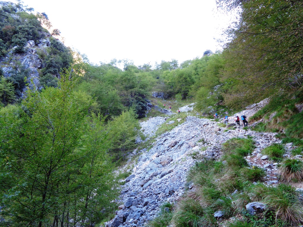 131019-apuane-dsc00265.jpg