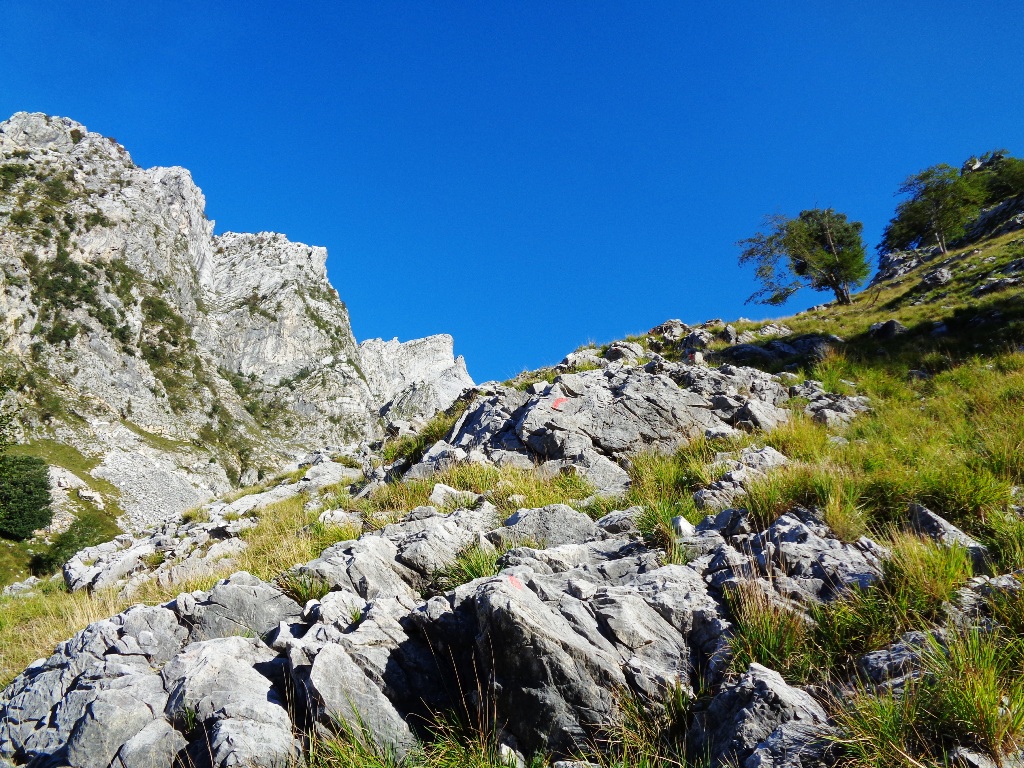 131023-apuane-dsc00271.jpg