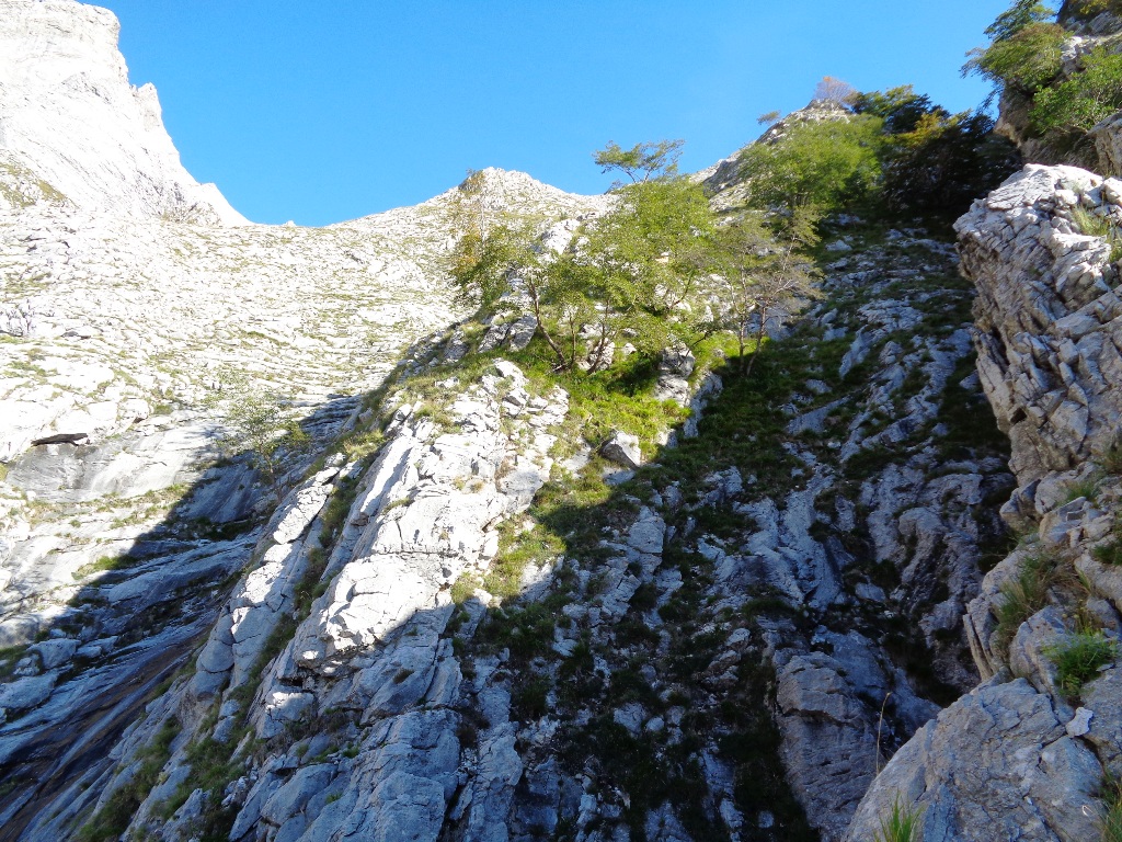 131026-apuane-dsc00275.jpg