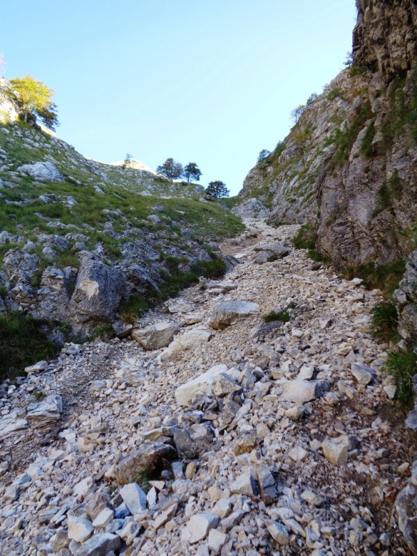 131027-apuane-dsc00278.jpg