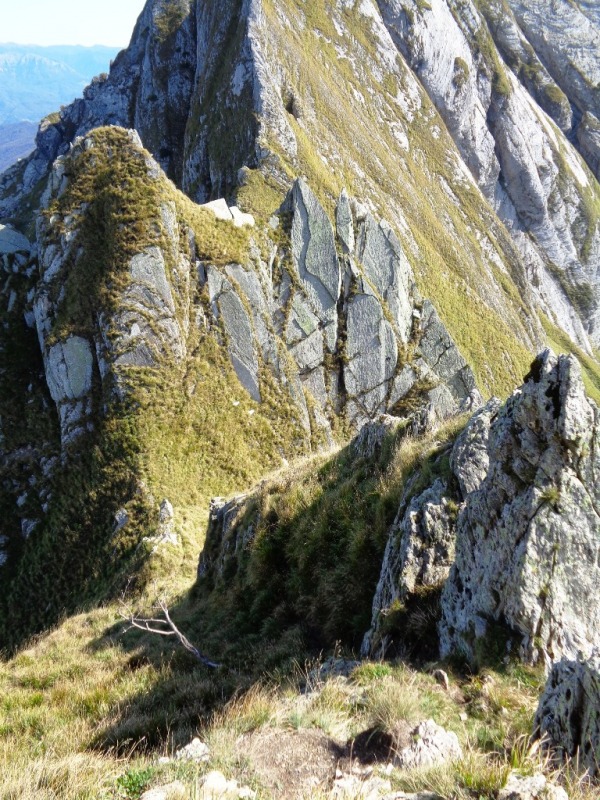 131029-apuane-dsc00308.jpg