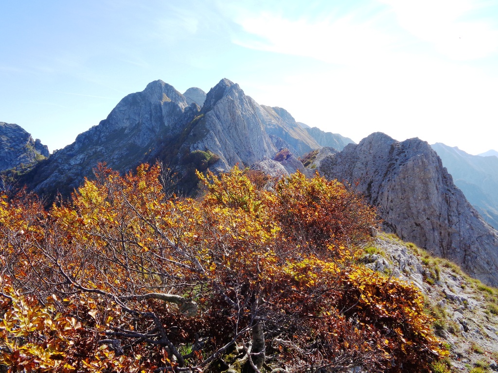 131033-apuane-dsc00285.jpg