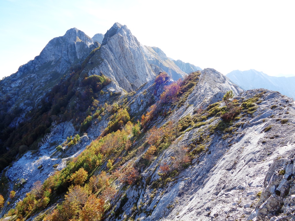 131036-apuane-dsc00293.jpg
