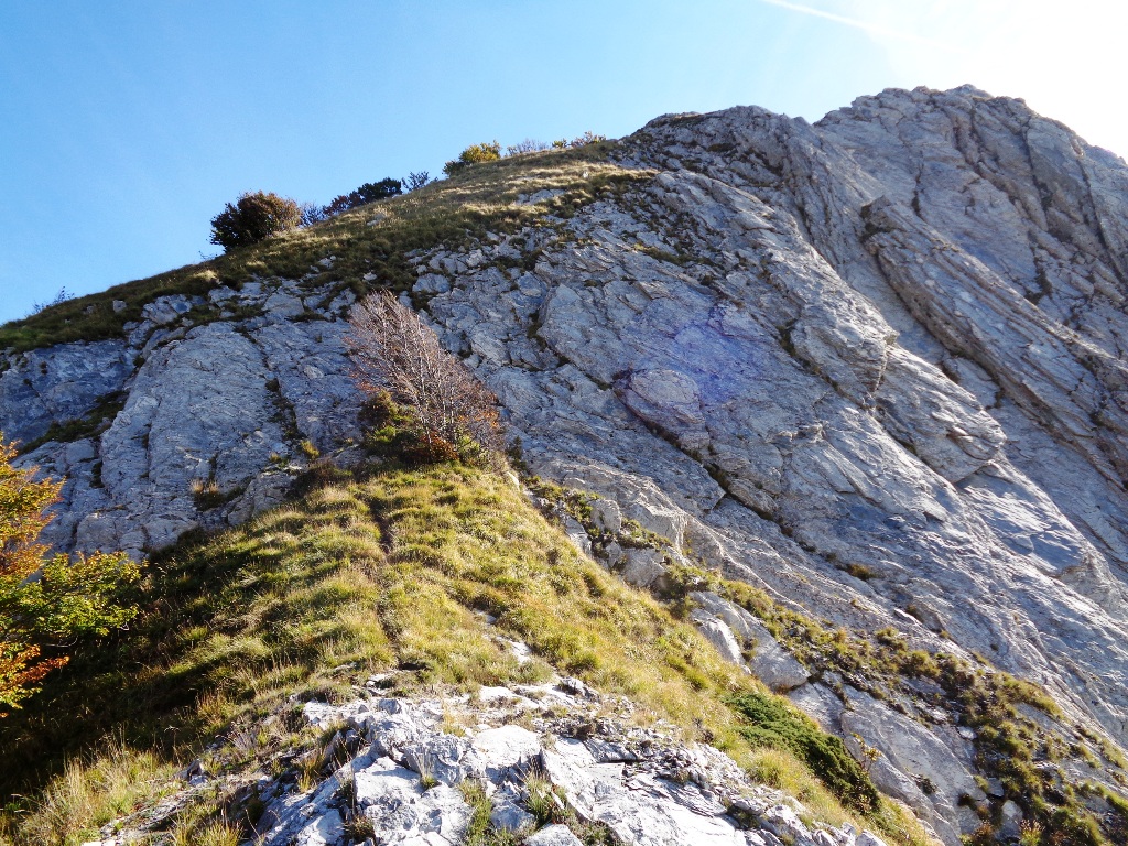 131038-apuane-dsc00298.jpg