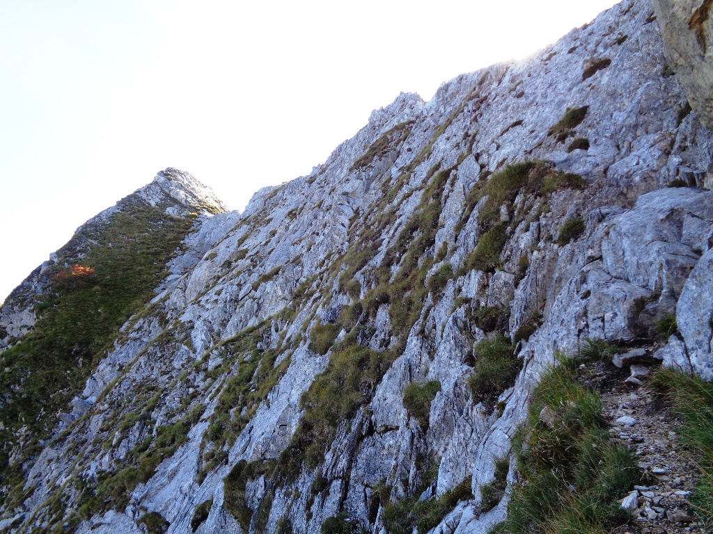 131040-apuane-dsc00300.jpg