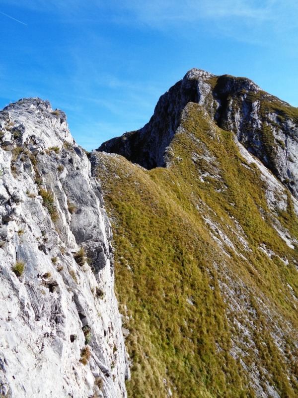 131046-apuane-dsc00310.jpg