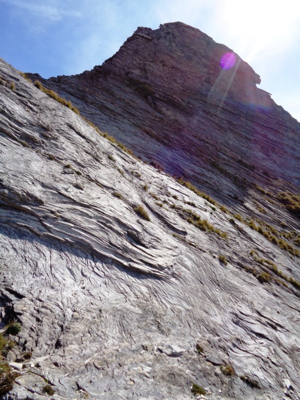131051-apuane-dsc00319.jpg