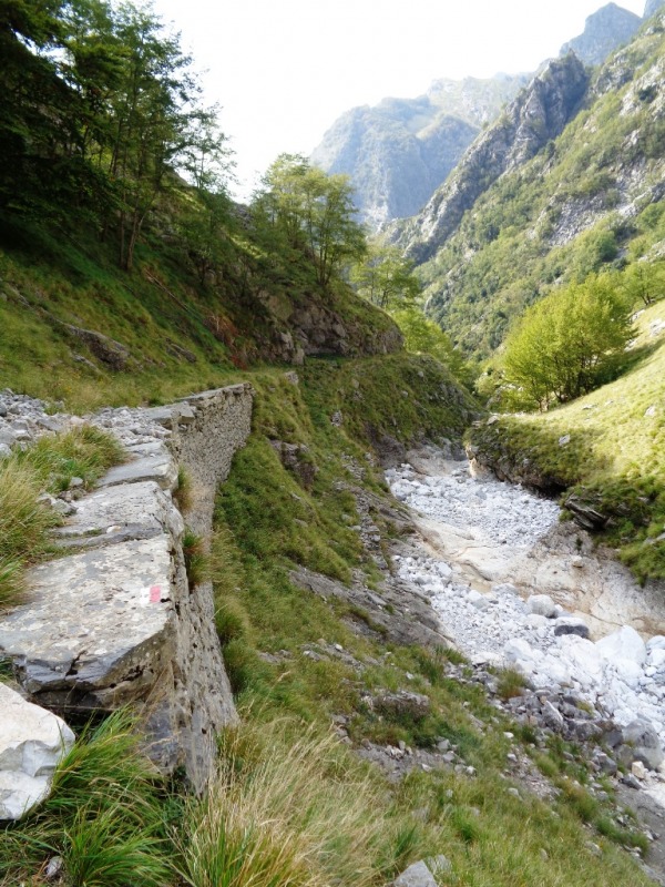 131059-apuane-dsc00353.jpg