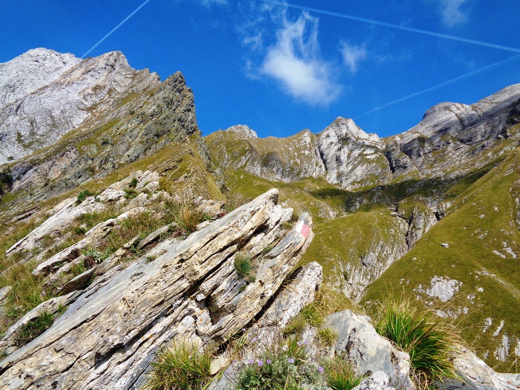 131064-apuane-dsc00341.jpg