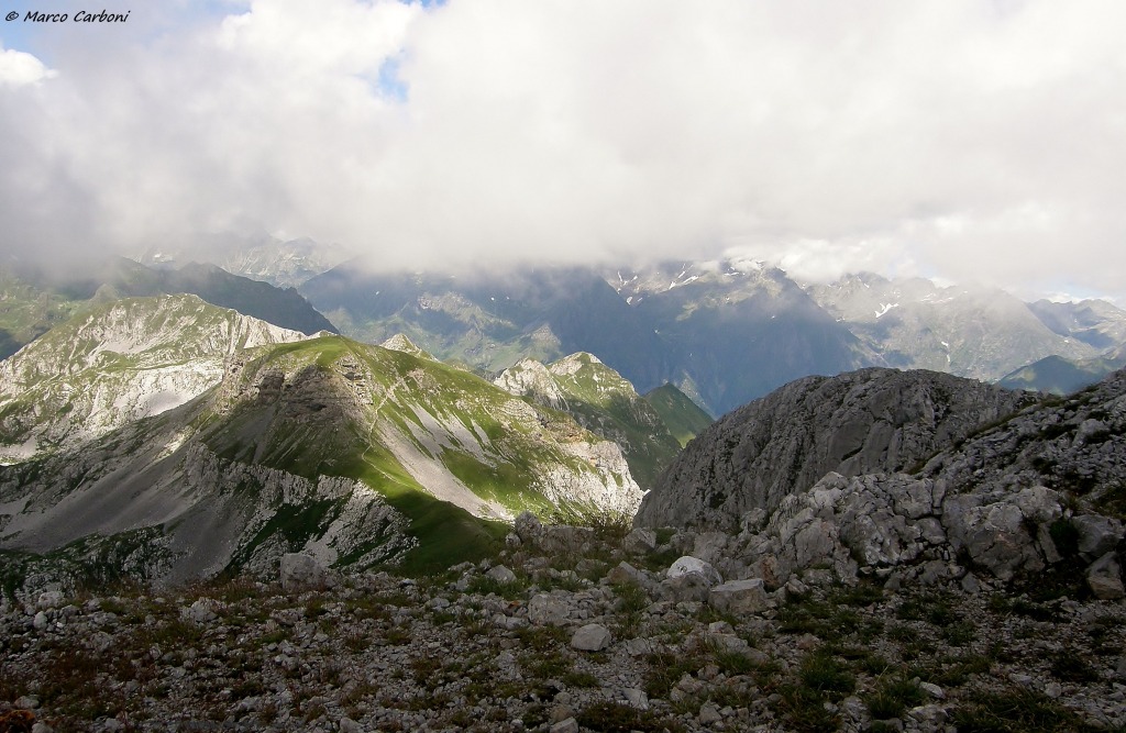131130-ferrante-1-p8170560.jpg