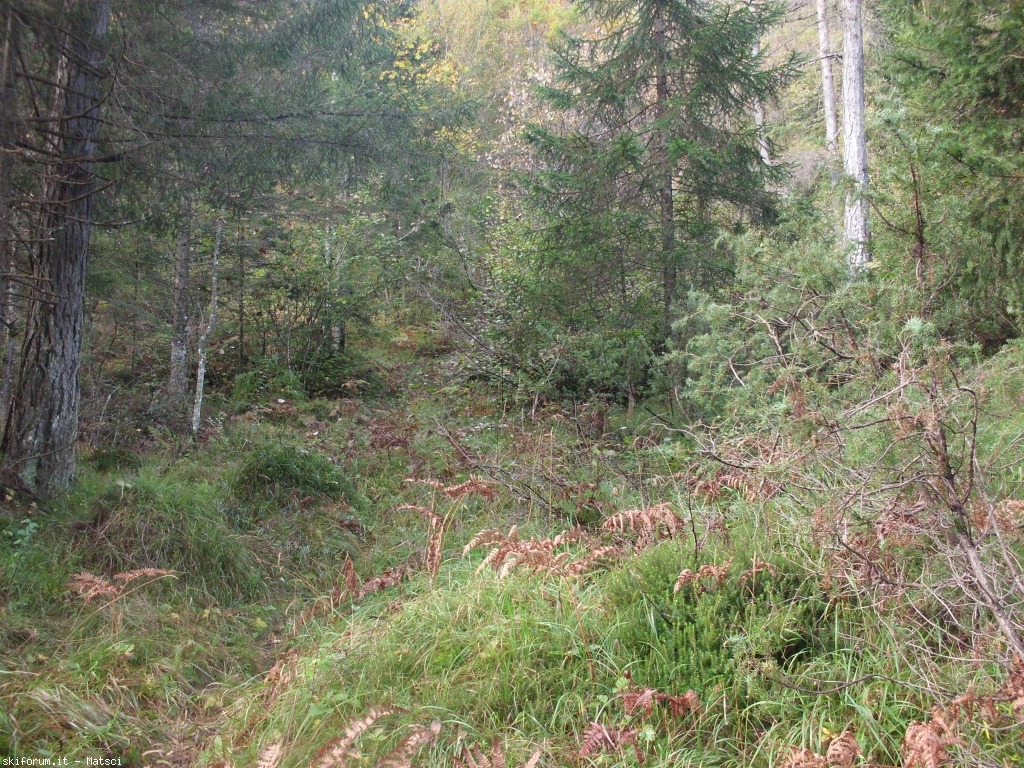 131438-rifugio-casel-sora-l-sass-cimg2253.jpg