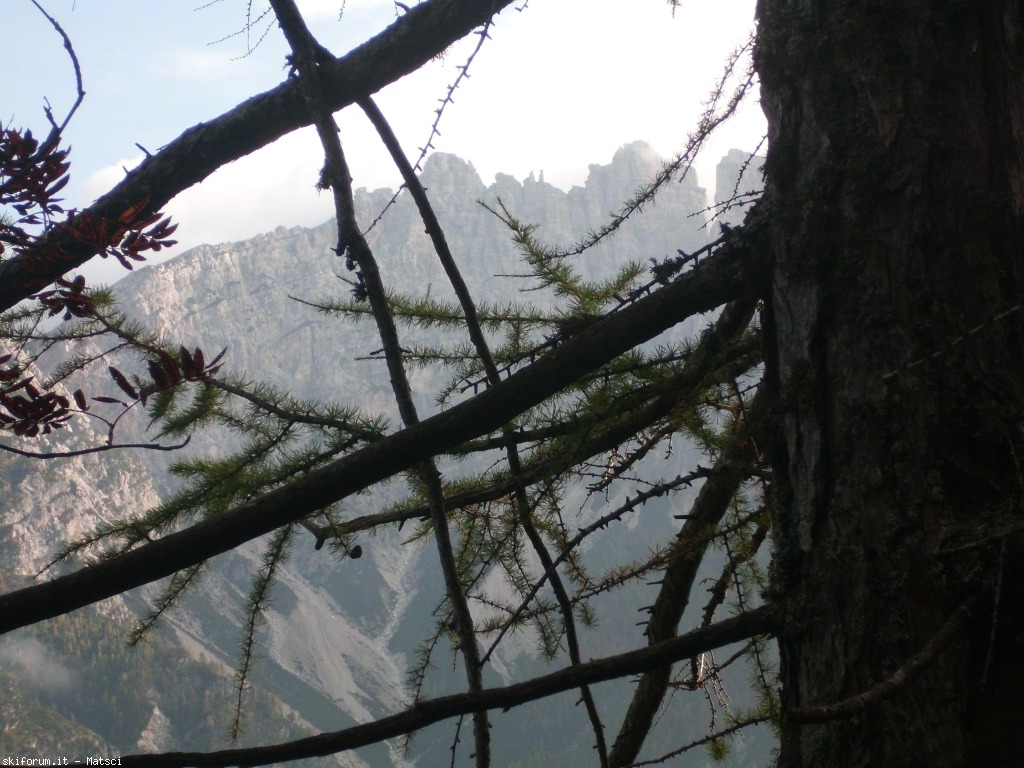 131451-rifugio-sora-l-sass-2-cimg2265.jpg