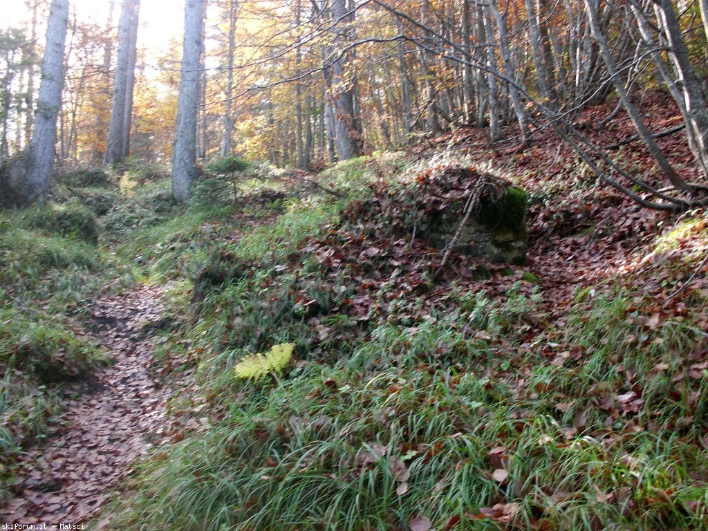 131454-rifugio-casel-sora-l-sass-3-cimg2267.jpg
