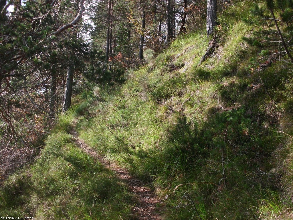 131463-casel-sora-l-sass-4-cimg2276.jpg