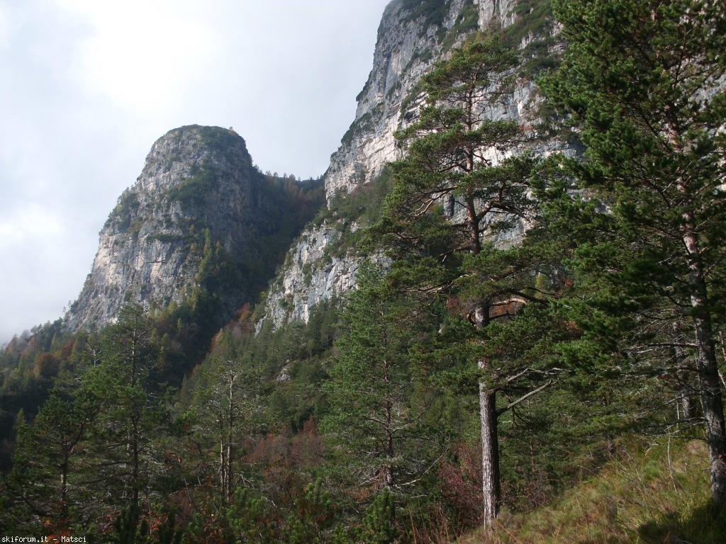 131464-casel-sora-l-sass-4-cimg2277.jpg