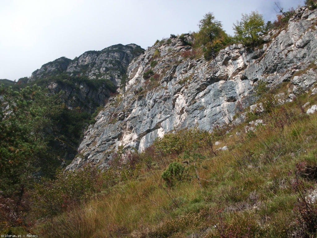 131465-casel-sora-l-sass-4-cimg2278.jpg
