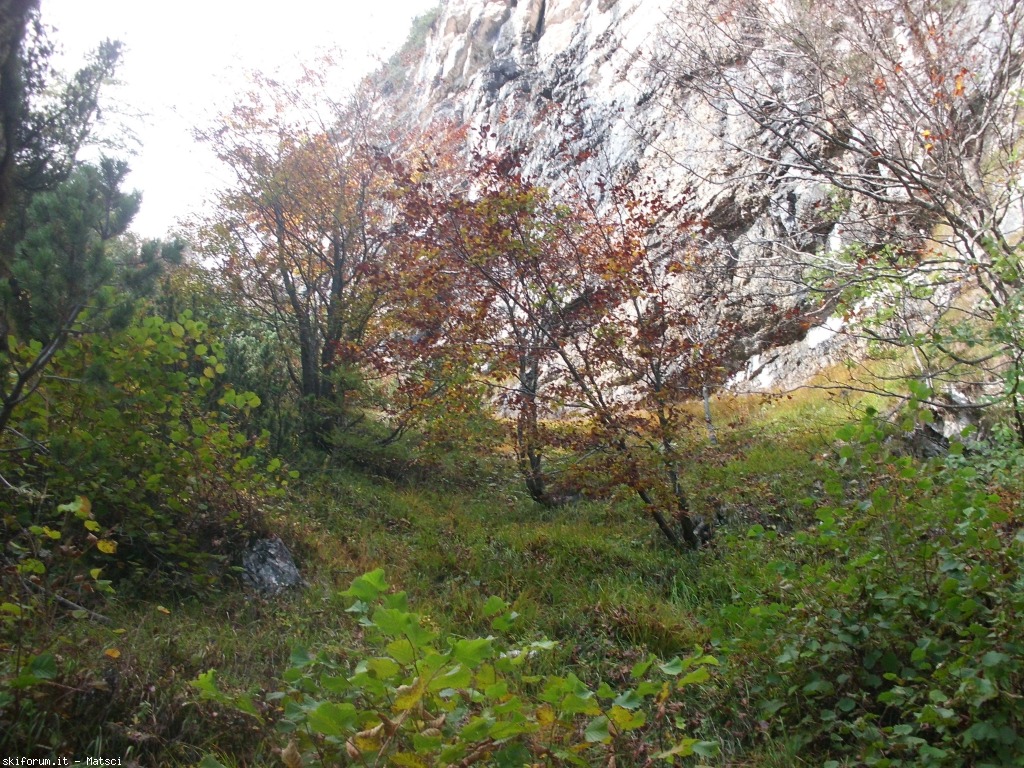 131466-casel-sora-l-sass-4-cimg2279.jpg