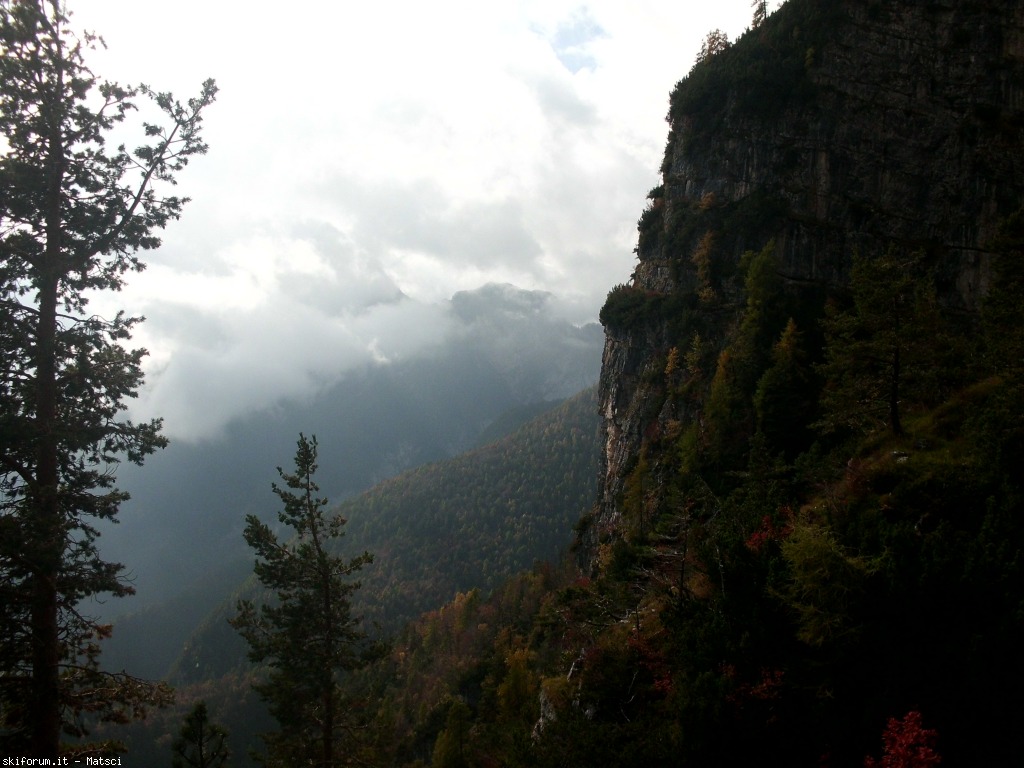 131470-sora-l-sass-5-cimg2285.jpg