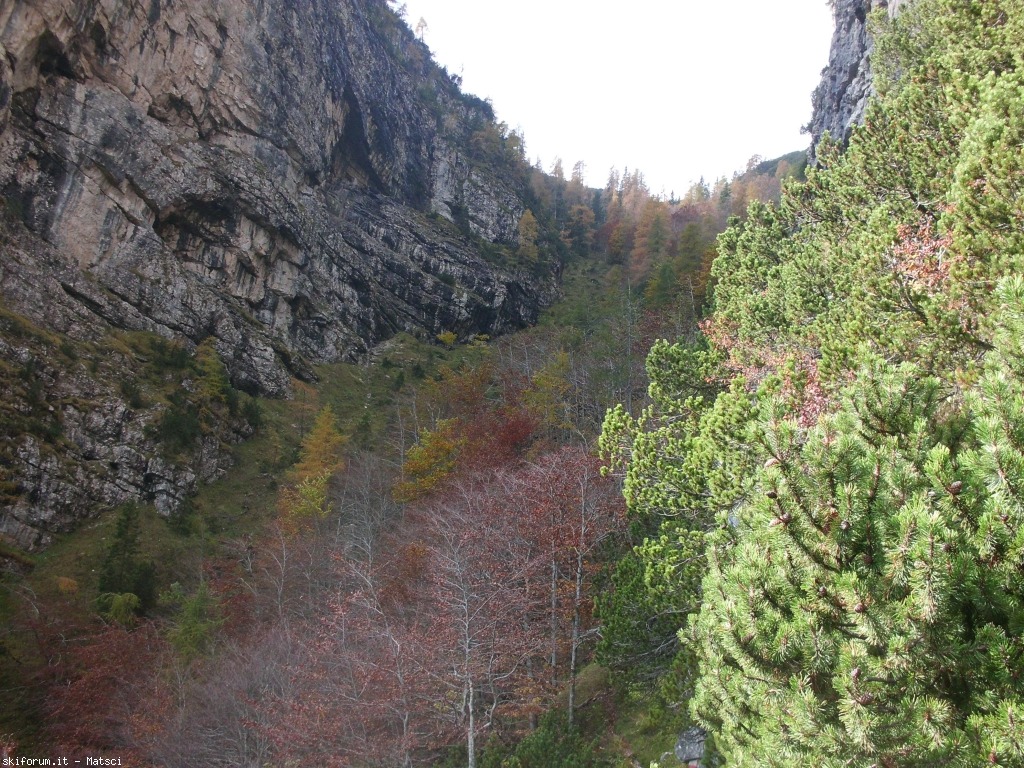 131471-sora-l-sass-5-cimg2286.jpg