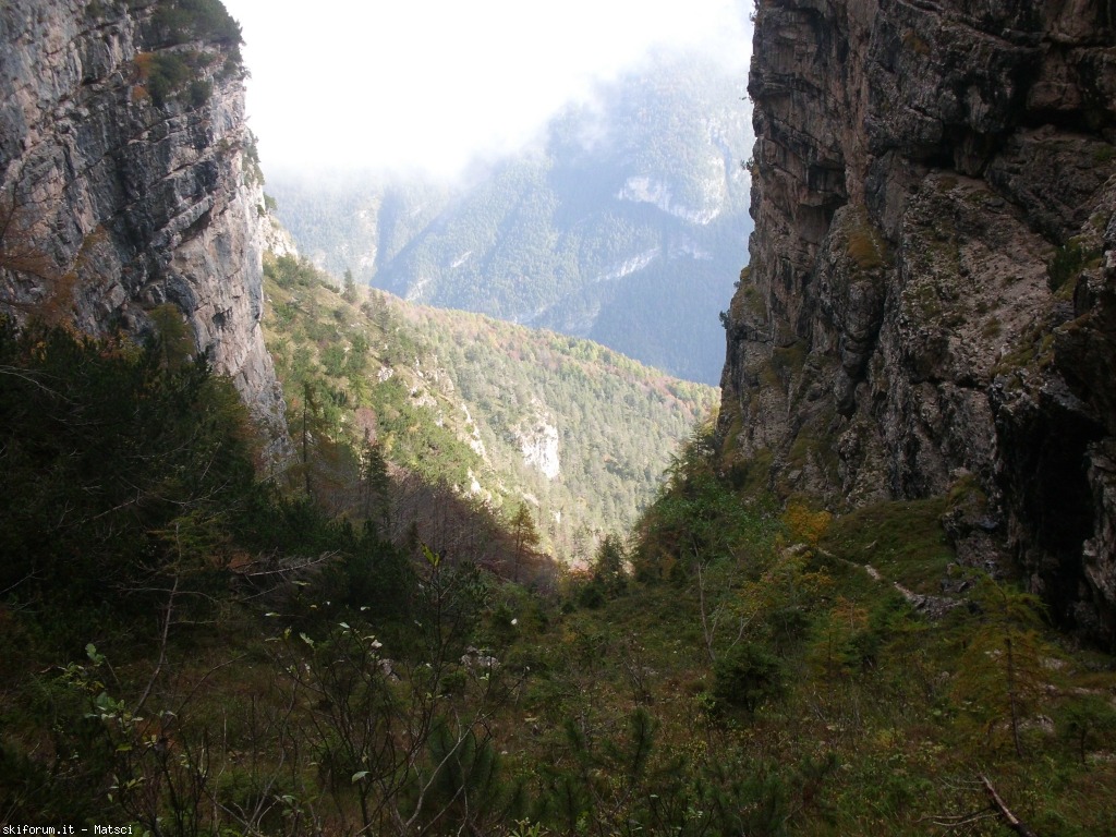131472-sora-l-sass-5-cimg2287.jpg