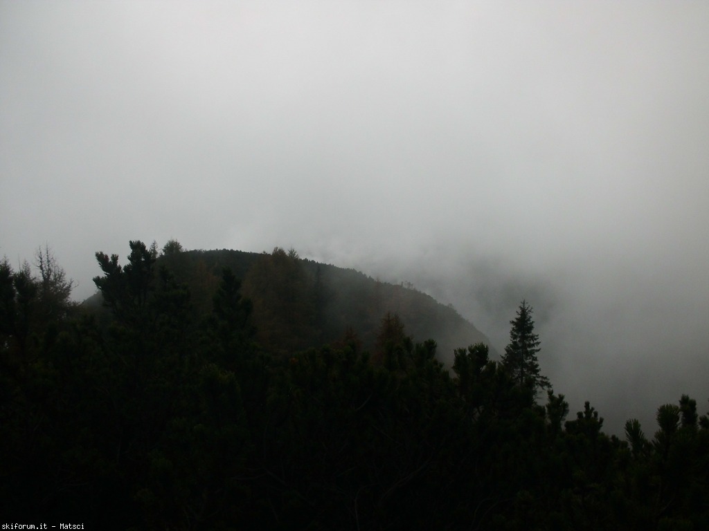 131473-sora-l-sass-5-cimg2288.jpg