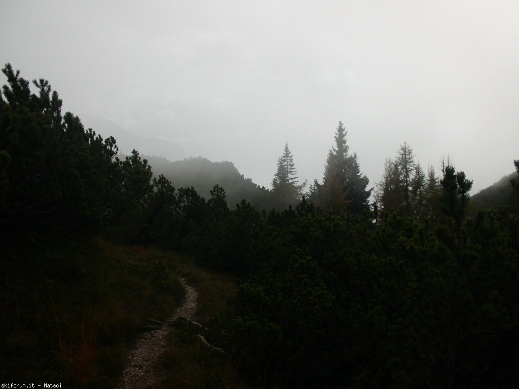 131474-sora-l-sass-5-cimg2289.jpg