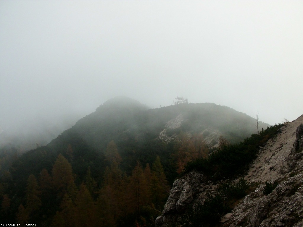 131485-sora-l-sass-6-cimg2301.jpg