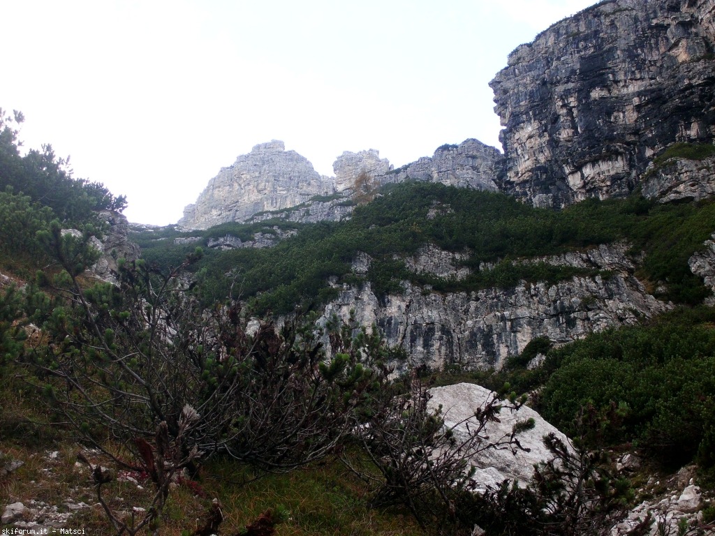 131490-sora-l-sass-7-cimg2306.jpg