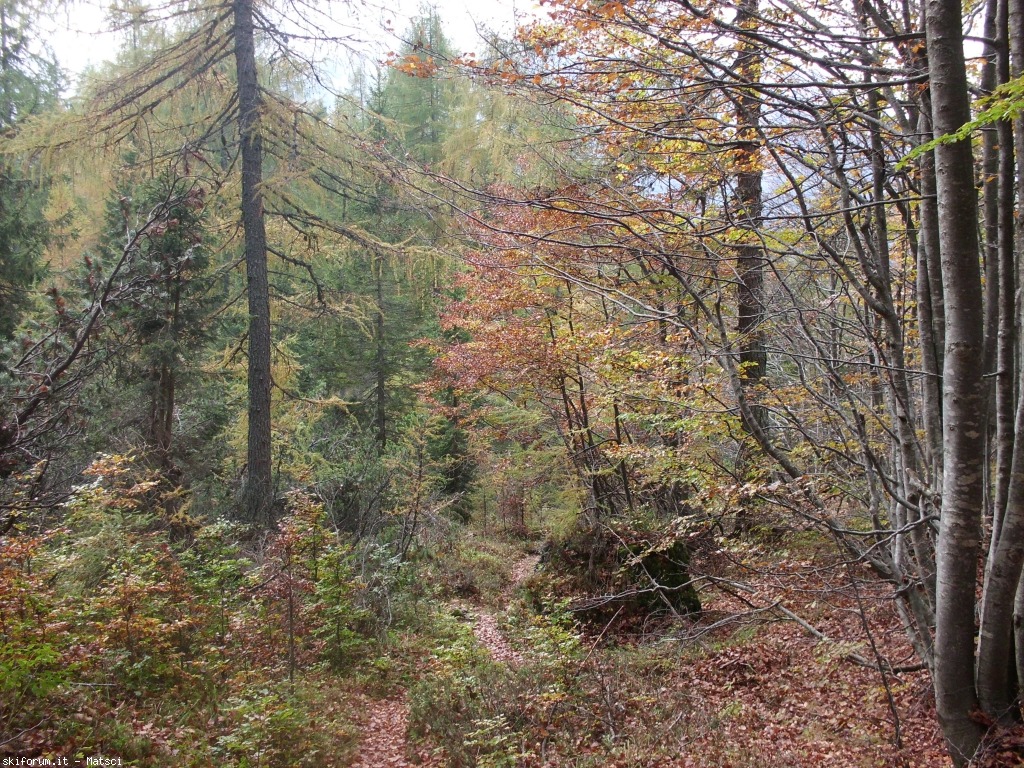 131501-sora-l-sass-8-cimg2316.jpg