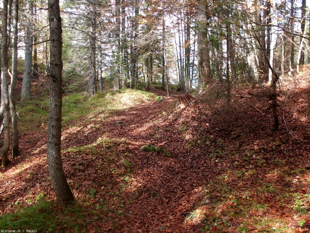131510-sora-l-sass-8-cimg2327.jpg