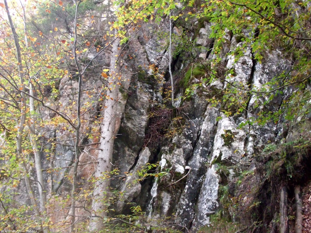131515-sora-l-sass-9-cimg2334.jpg