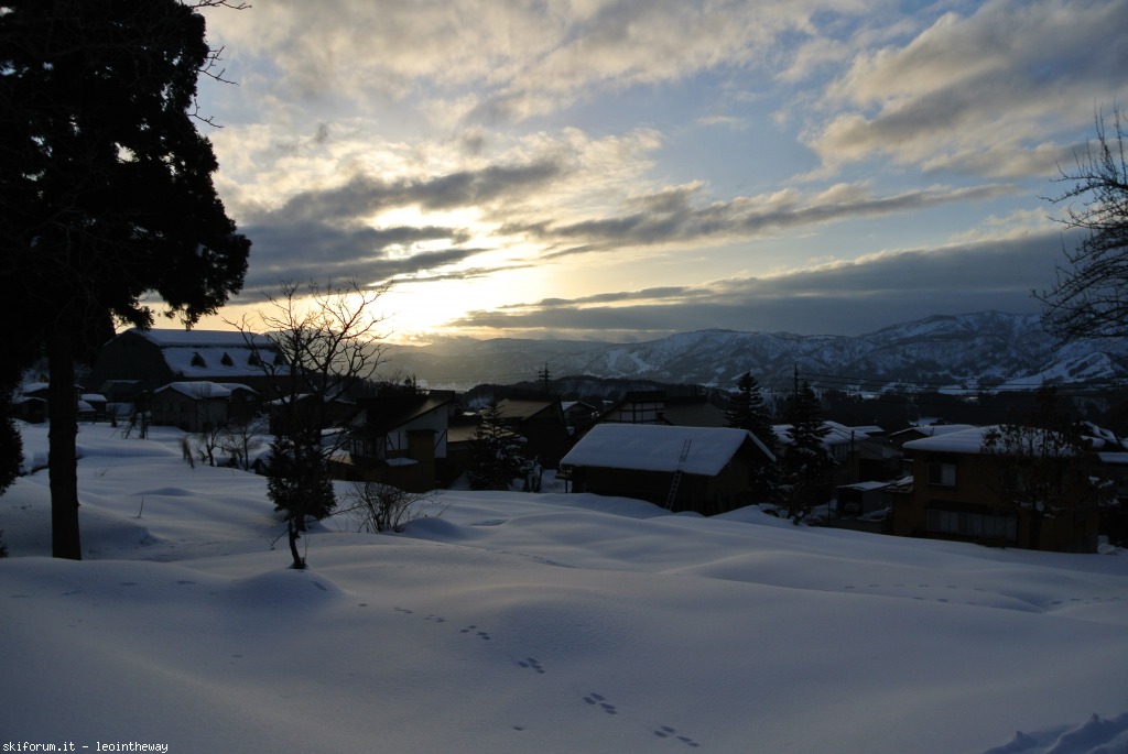 131528-nozawa-dsc3116.jpg