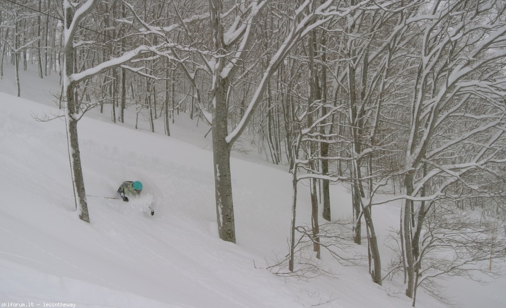 131532-hakuba-dsc34202.jpg