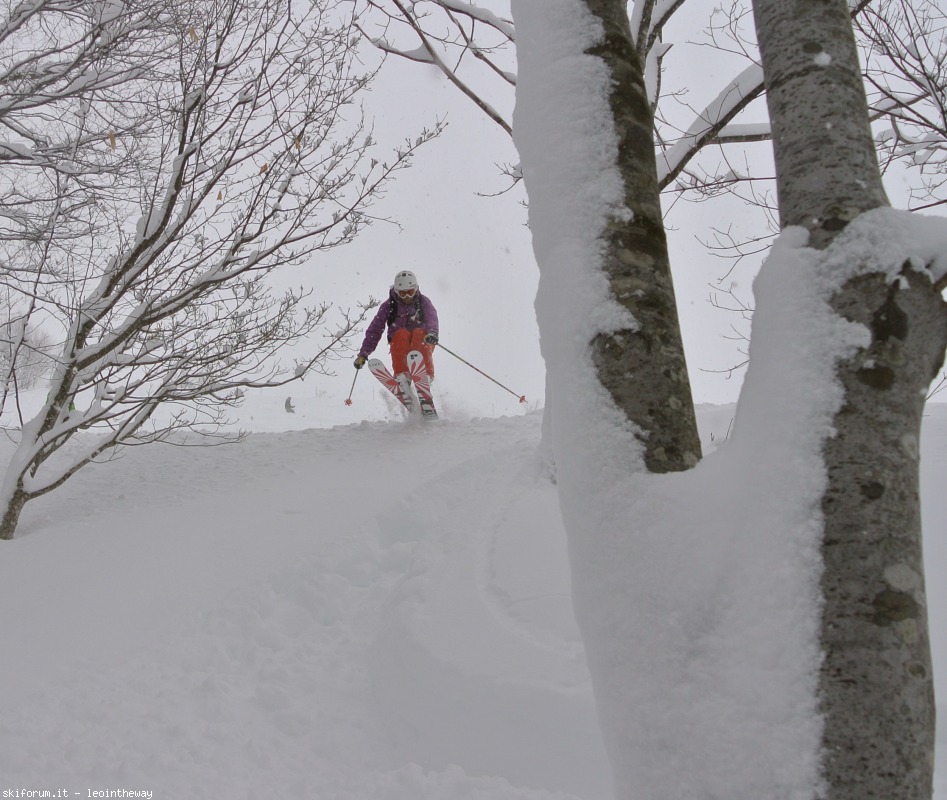 131533-hakuba-dsc34342.jpg