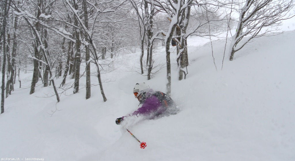 131534-hakuba-dsc34472.jpg