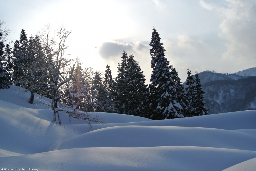 131536-hakuba-dsc3507.jpg