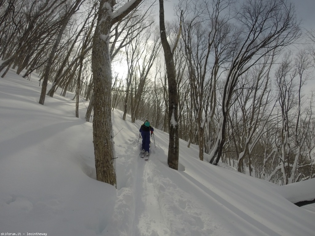 131540-hakuba-gopr0162.jpg