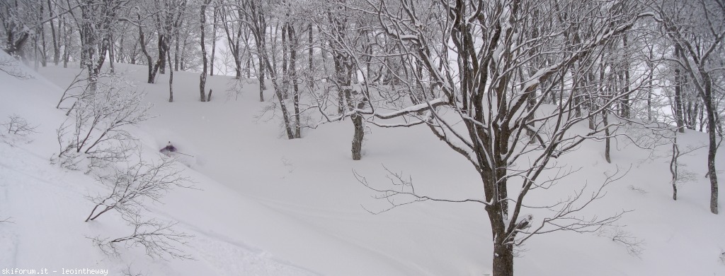 131543-myoko-dsc36232.jpg