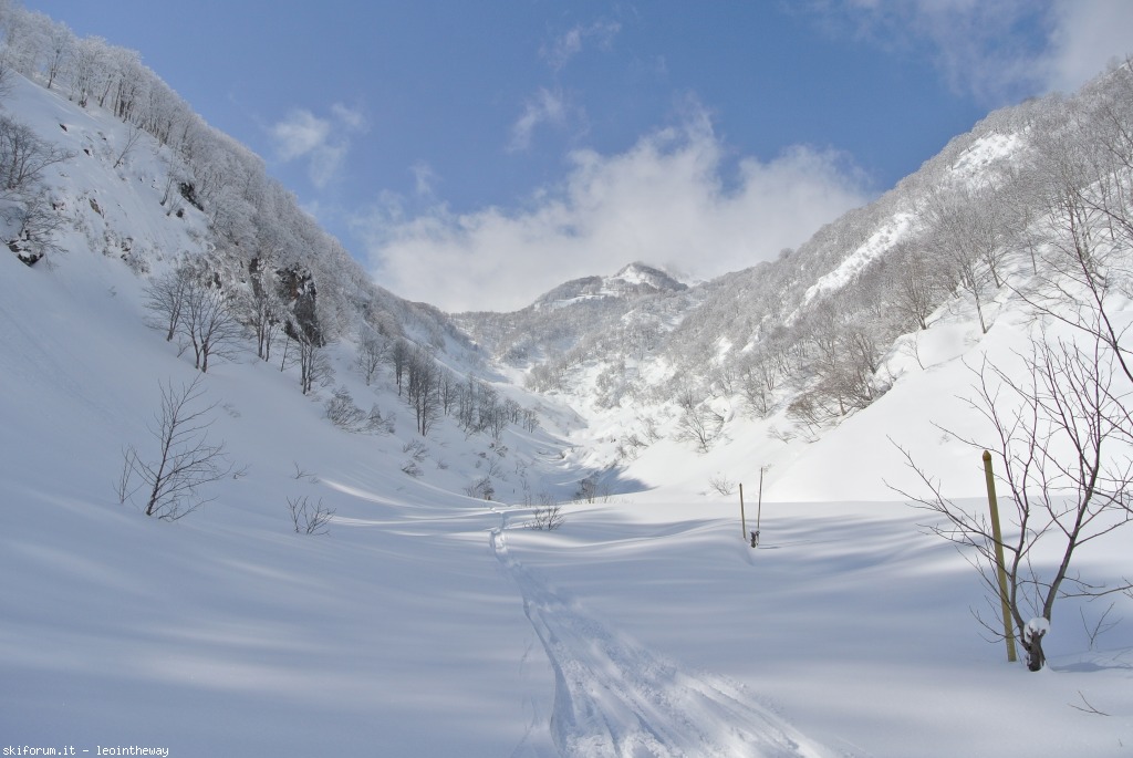 131544-myoko-dsc3733.jpg