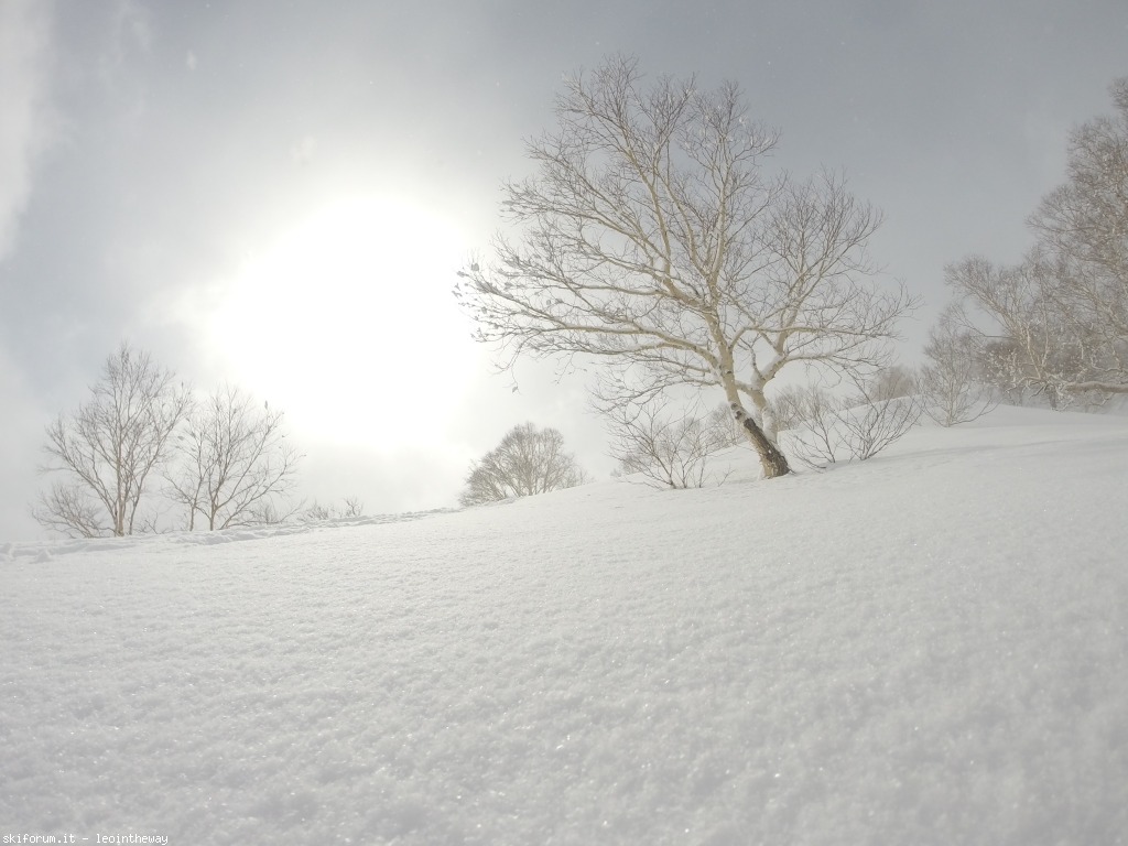 131549-myoko-gopr0226.jpg