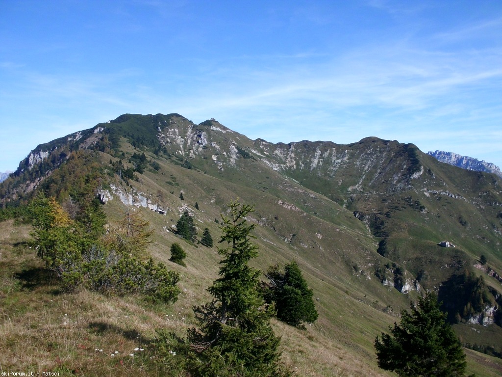 131664-gitarella-19-10-cimg2451.jpg