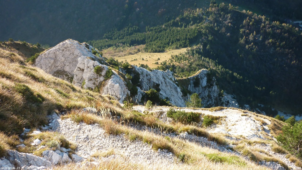 132376-cai-gemona-1-p1100517.jpg