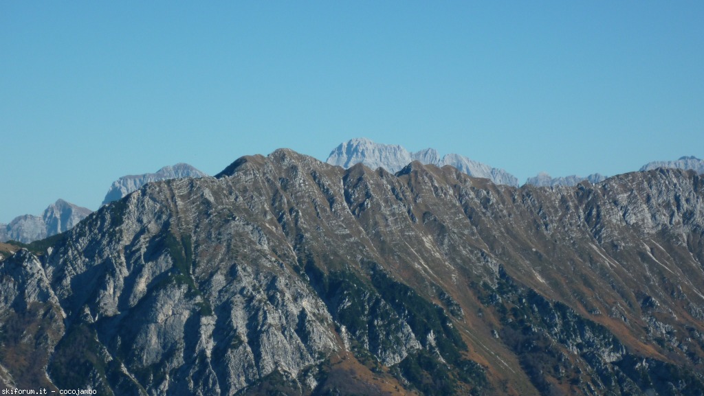 132387-cai-gemona-1-p1100563.jpg