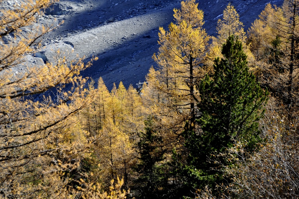 132433-autunno-in-chamonix-17-dsc5835.jpg