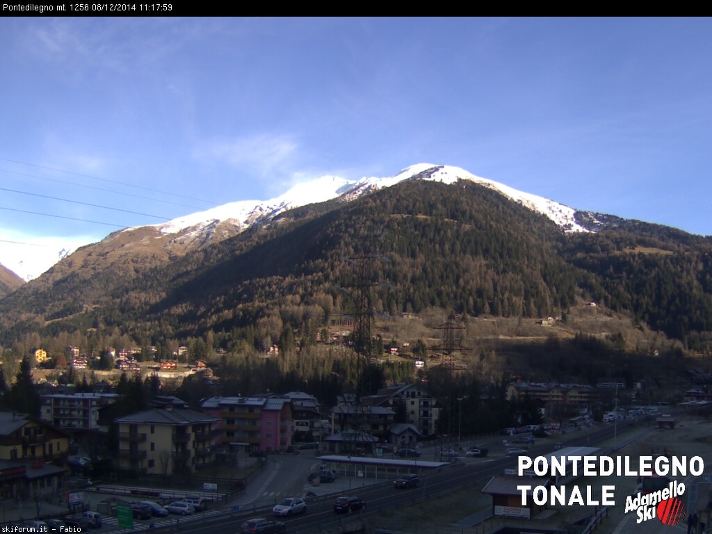 135052-pontedilegno.jpg