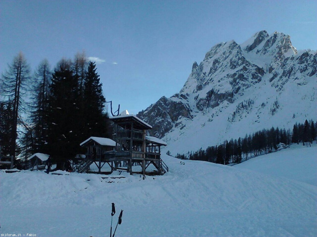 135984-img1431.jpg